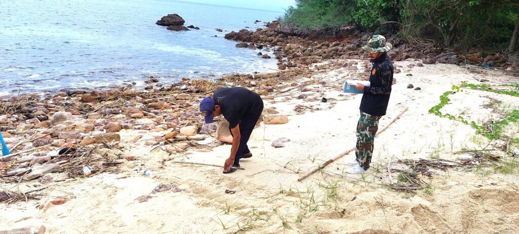 The turtle eggs nest was discovered on a flood prone beach of Koh Thalu, Prachuap Khiri Khan. Photo Prachuap Khiri Khan Public Relations Department. 